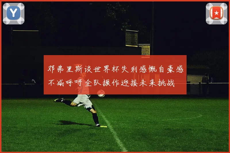 邓弗里斯谈世界杯失利感慨自豪感不减呼吁全队振作迎接未来挑战